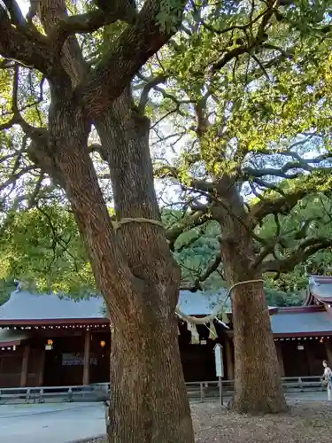 明治神宮(東京都)