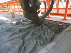 日御碕神社の自然