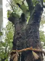 貴布禰神社(静岡県)