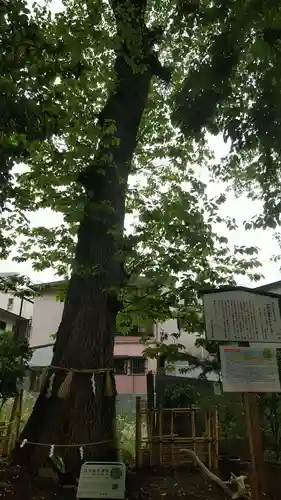 戸越八幡神社のその他建物