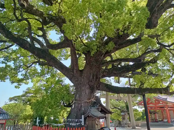 百舌鳥八幡宮(大阪府)