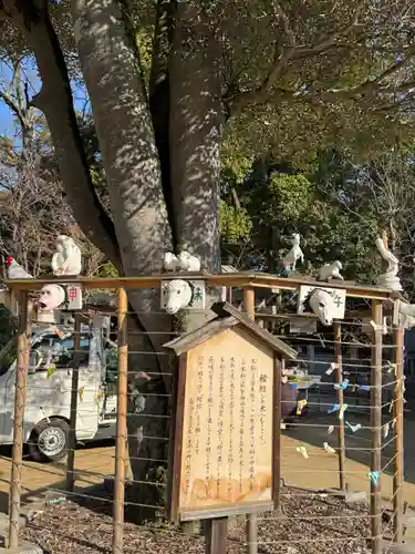 阿智神社(岡山県)