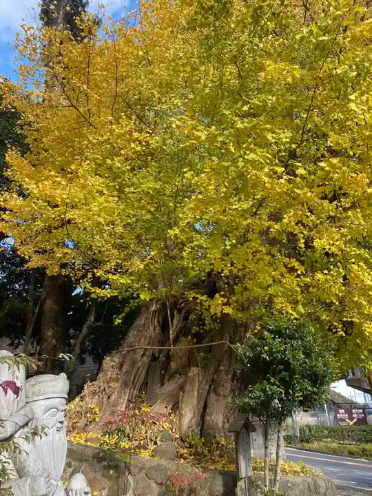 五所神社(神奈川県)