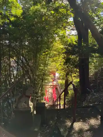 稲荷神社(千葉県)