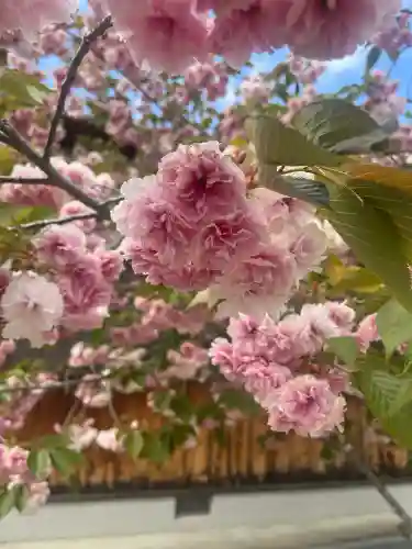 相賀大神社の{uncategorized: "未分類", other: "その他", undefined: "問題あり", building: "その他建物", grave: "お墓", sacred_gate: "鳥居", guardian: "狛犬", statue: "像", buddha: "仏像", history: "歴史", nature: "自然", garden: "庭園", animal: "動物", pagoda: "塔", temizu: "手水舎", mountain_gate: "山門・神門", sanctuary: "本殿・本堂", subordinate: "末社・摂社", art: "芸術", scenery: "景色", jizo: "地蔵", ema: "絵馬", goshuin: "御朱印", omikuji: "おみくじ", items: "授与品その他", amulet: "お守り", goshuincho: "御朱印帳", eats: "食事", festival: "お祭り", votive_dance: "神楽", shichigosan: "七五三参", wedding: "結婚式", experience: "体験その他", initially: "初詣", around: "周辺", anti_infection: "感染症対策"}
