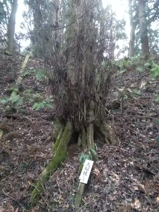 鶴形金刀比羅宮のその他建物