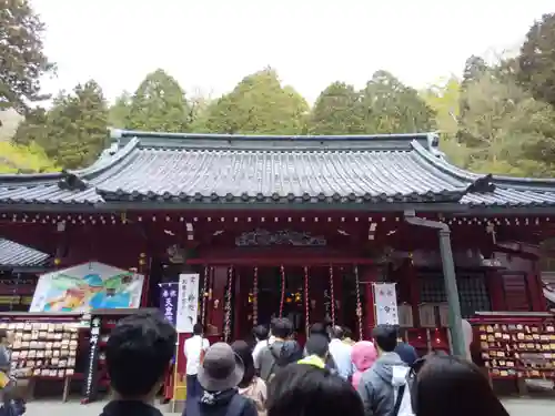 箱根神社の本殿・本堂