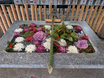 高円寺氷川神社(東京都)