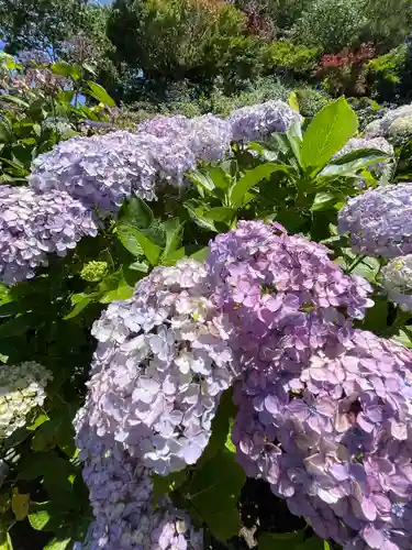 本勝寺(静岡県)