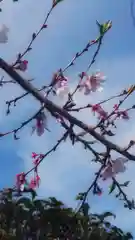 尾張猿田彦神社の自然