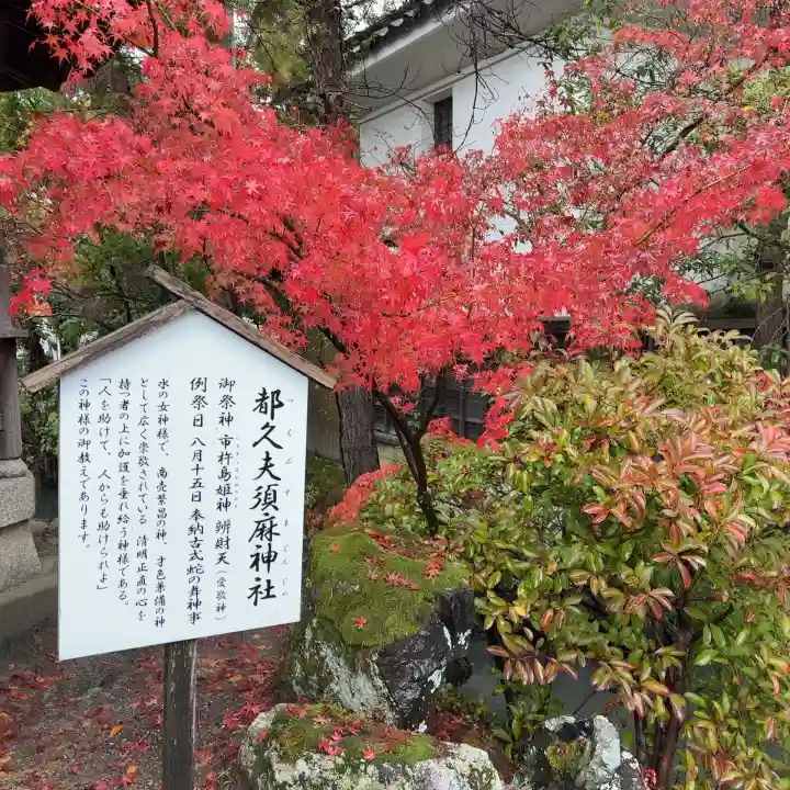 長浜八幡宮(滋賀県)