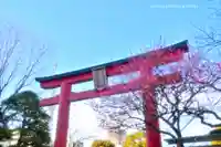 亀戸天神社(東京都)