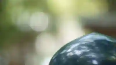 大神神社(奈良県)