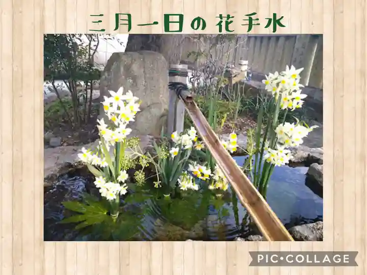 阿智神社の手水舎