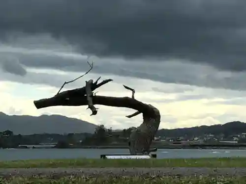 琴平神社の自然