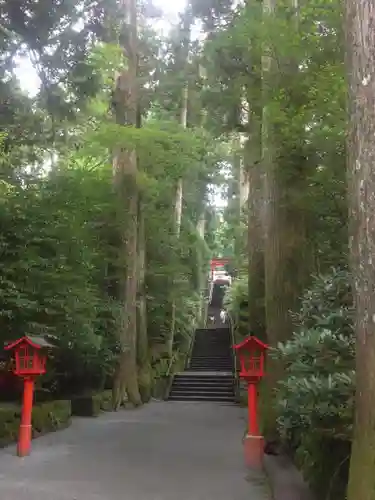 箱根神社の建物その他