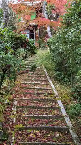 光明寺（粟生光明寺）(京都府)