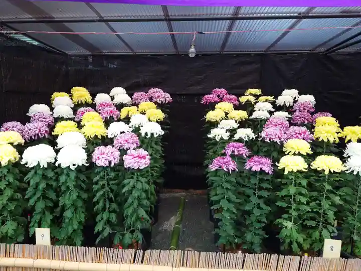 宗像大社(福岡県)