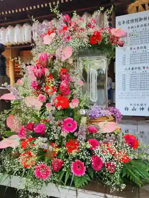 白山神社(新潟県)