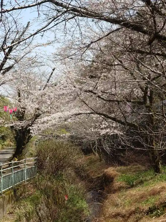 龍藏神社(神奈川県)