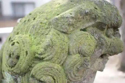 青渭神社の狛犬