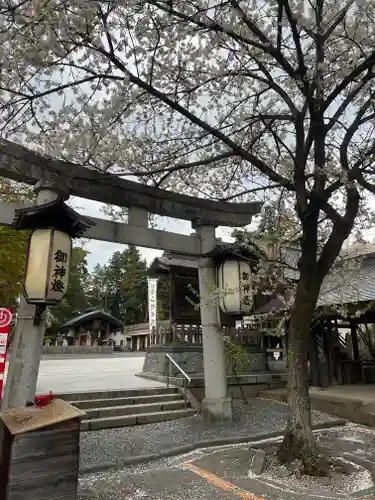 盛岡八幡宮の鳥居