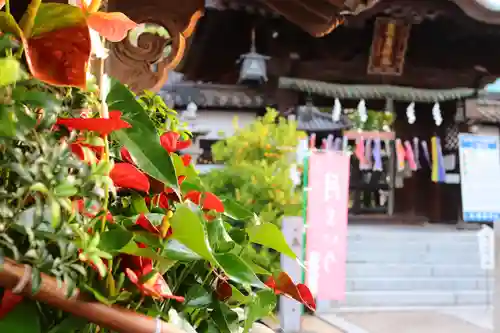 三津厳島神社(愛媛県)