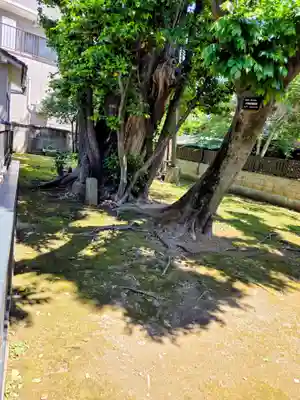 十寄神社(東京都)