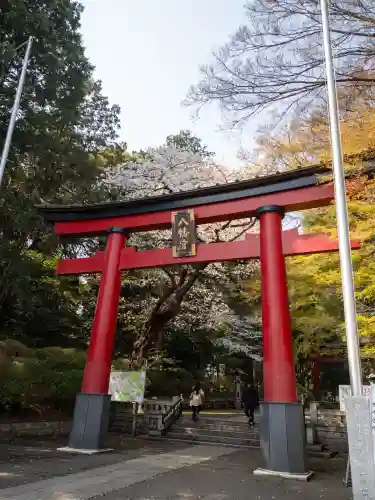 大宮八幡宮の{uncategorized: "未分類", other: "その他", undefined: "問題あり", building: "その他建物", grave: "お墓", sacred_gate: "鳥居", guardian: "狛犬", statue: "像", buddha: "仏像", history: "歴史", nature: "自然", garden: "庭園", animal: "動物", pagoda: "塔", temizu: "手水舎", mountain_gate: "山門・神門", sanctuary: "本殿・本堂", subordinate: "末社・摂社", art: "芸術", scenery: "景色", jizo: "地蔵", ema: "絵馬", goshuin: "御朱印", omikuji: "おみくじ", items: "授与品その他", amulet: "お守り", goshuincho: "御朱印帳", eats: "食事", festival: "お祭り", votive_dance: "神楽", shichigosan: "七五三参", wedding: "結婚式", experience: "体験その他", initially: "初詣", around: "周辺", anti_infection: "感染症対策"}
