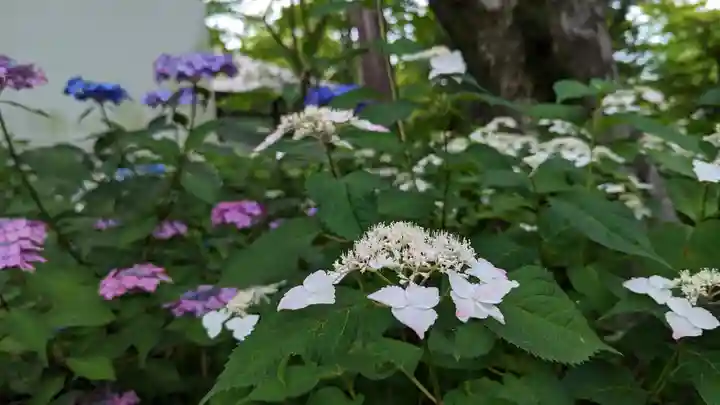 真正極楽寺(真如堂)(京都府)