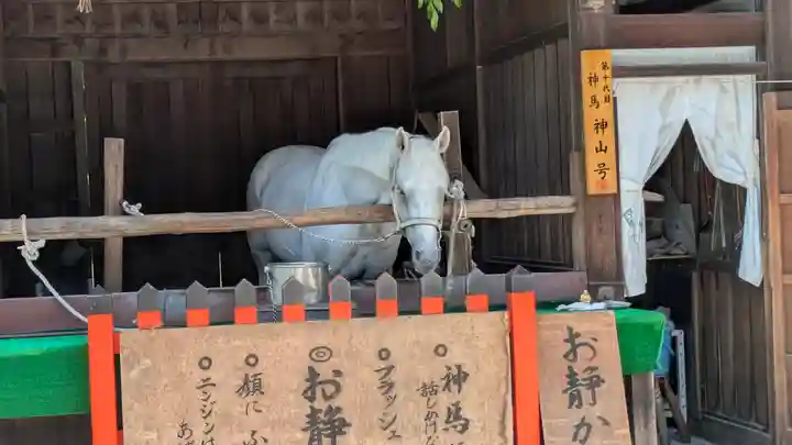 賀茂別雷神社(上賀茂神社)(京都府)