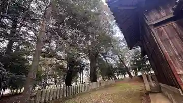 大歳神社(兵庫県)