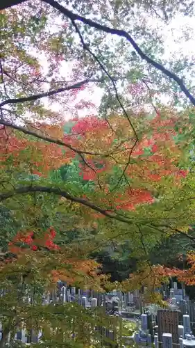 吟松寺の景色