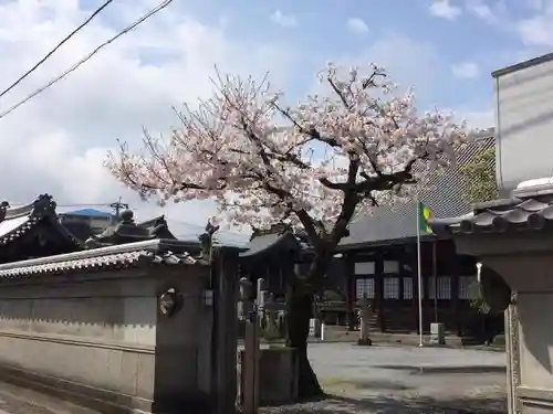 願正寺のその他建物