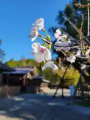 天宮神社の自然