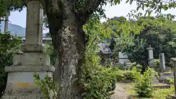 浄妙寺(福井県)