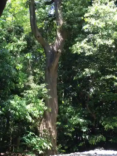 志宝屋神社（豊受大神宮末社）の自然
