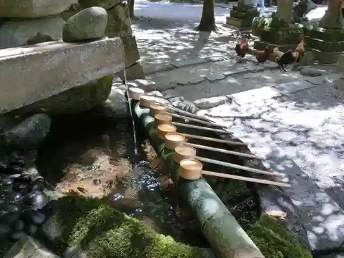 石上神宮の手水舎