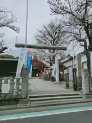 葛飾氷川神社の鳥居