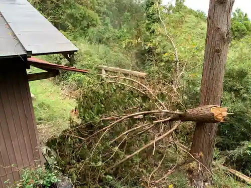 佐室浅野神社の自然