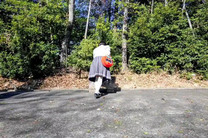 砥鹿神社(砥鹿大明神)の{uncategorized: "未分類", other: "その他", undefined: "問題あり", building: "その他建物", grave: "お墓", sacred_gate: "鳥居", guardian: "狛犬", statue: "像", buddha: "仏像", history: "歴史", nature: "自然", garden: "庭園", animal: "動物", pagoda: "塔", temizu: "手水舎", mountain_gate: "山門・神門", sanctuary: "本殿・本堂", subordinate: "末社・摂社", art: "芸術", scenery: "景色", jizo: "地蔵", ema: "絵馬", goshuin: "御朱印", omikuji: "おみくじ", items: "授与品その他", amulet: "お守り", goshuincho: "御朱印帳", eats: "食事", festival: "お祭り", votive_dance: "神楽", shichigosan: "七五三参", wedding: "結婚式", experience: "体験その他", initially: "初詣", around: "周辺", anti_infection: "感染症対策"}