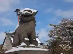 豊幌神社の狛犬