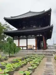 喜光寺(奈良県)