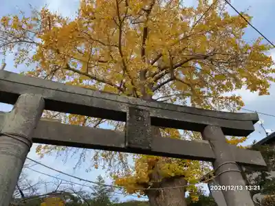 白岩神社の鳥居