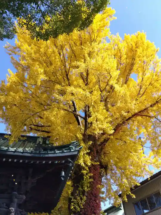 長慶寺(福井県)