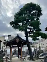 海徳寺(東京都)