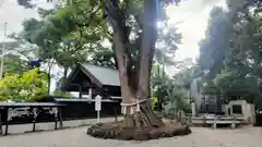 玉村八幡宮(群馬県)