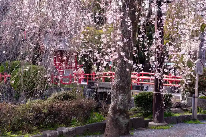 三嶋大社(静岡県)