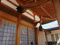 妙光寺のその他建物