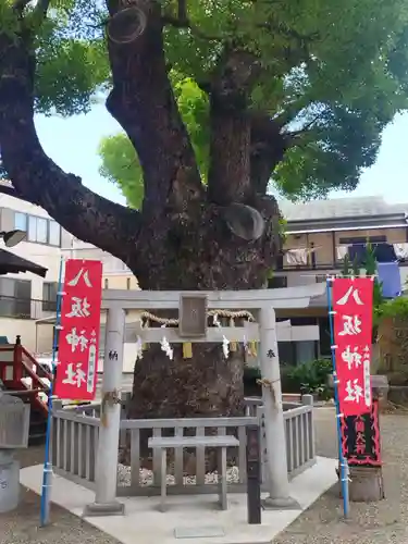 八坂神社(大阪府)